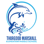 A dolphin jumping out of the water in a circle